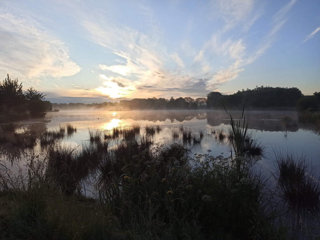 Camping et Lac du grand Fay Saint Père en Retz