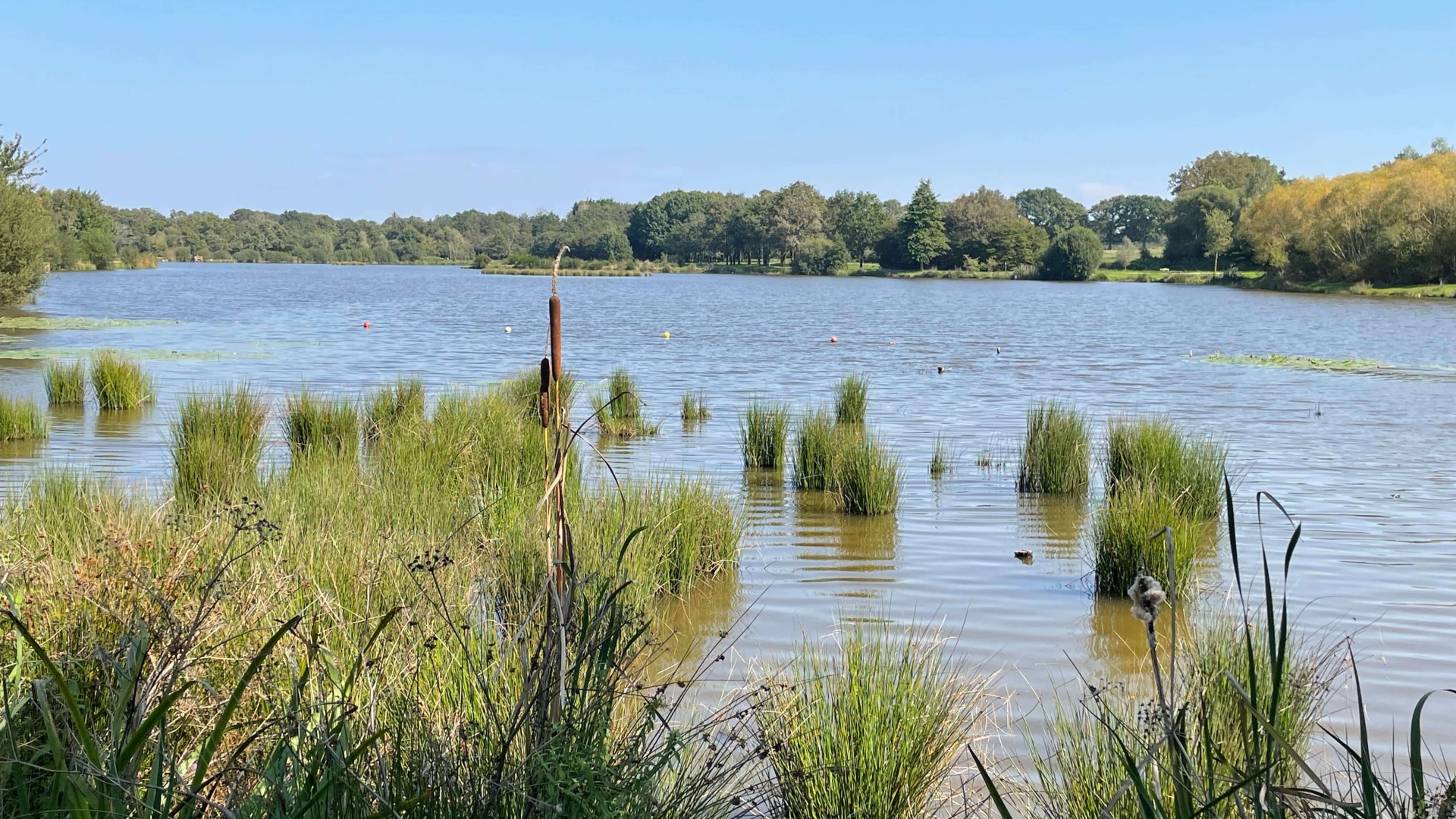 Camping du grand Fay 44 promenade au lac