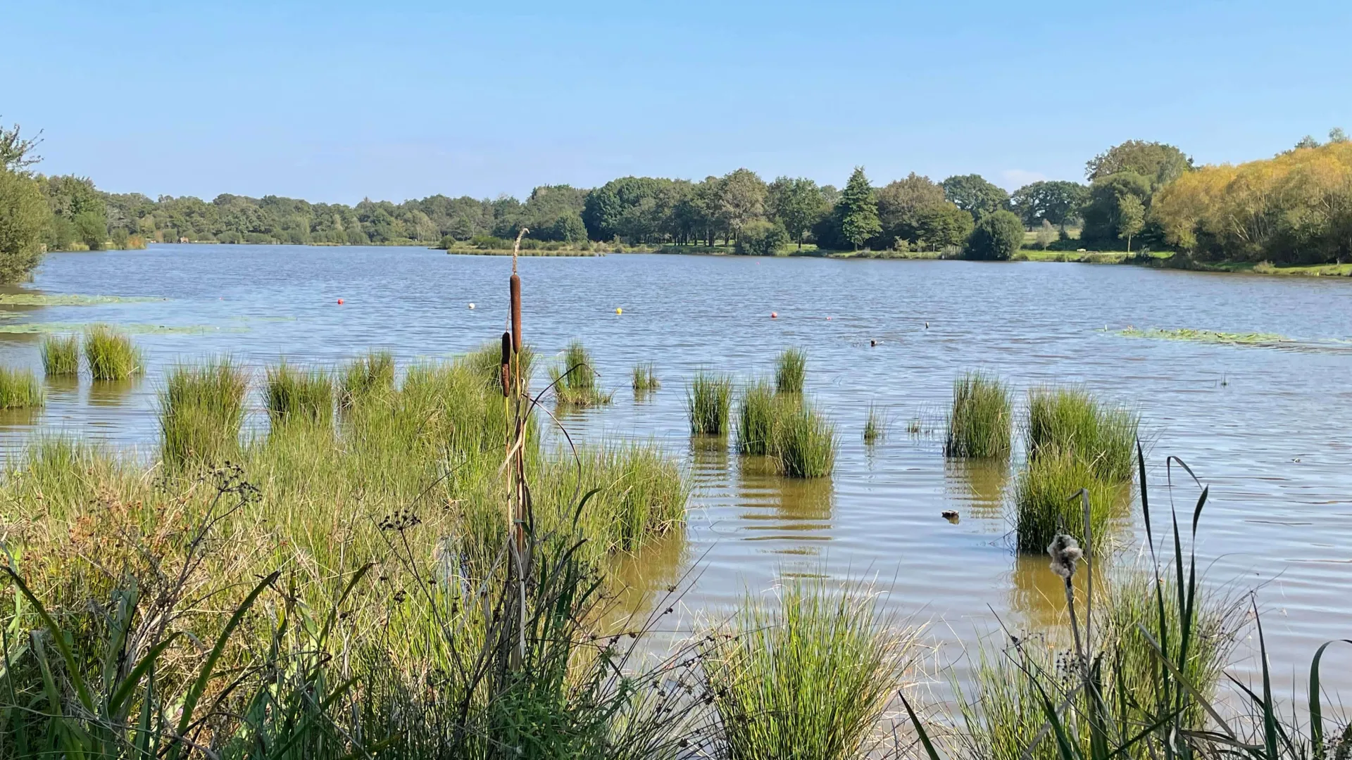 Camping du grand Fay 44 promenade au lac