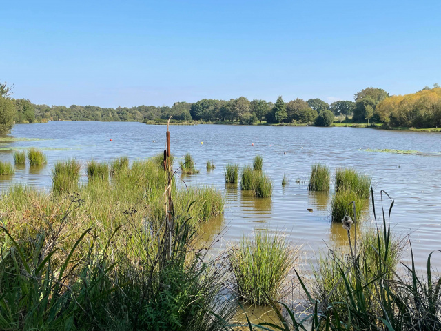 Camping du grand Fay 44 promenade au lac