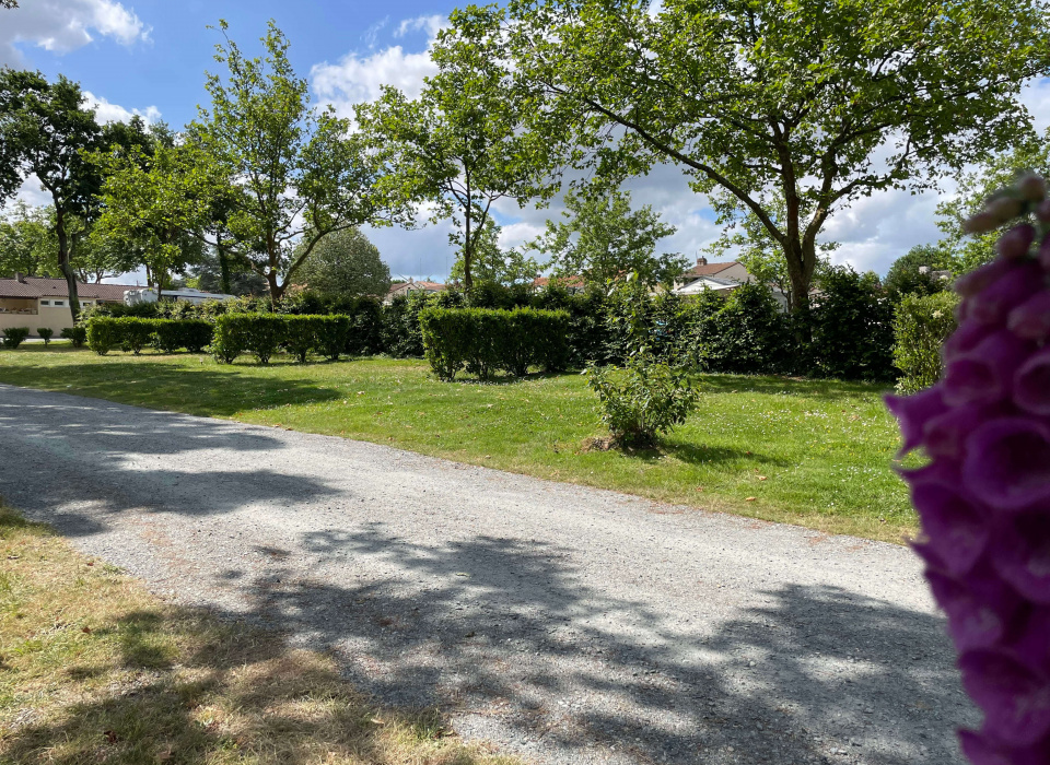 emplacement nu Camping du grand fay - Copie