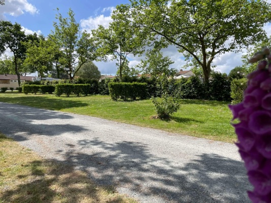 emplacement nu Camping du grand fay - Copie