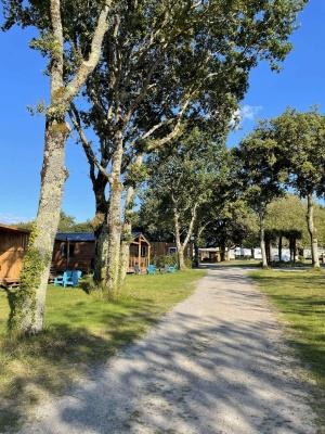 Les allées du camping du Grand Fay