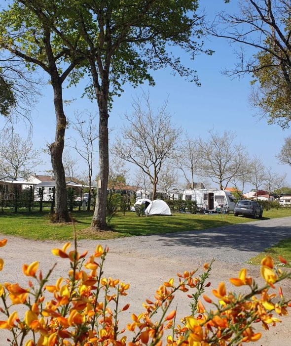 Emplacements pour toile de tentes, caravanes, camping-car ou vans