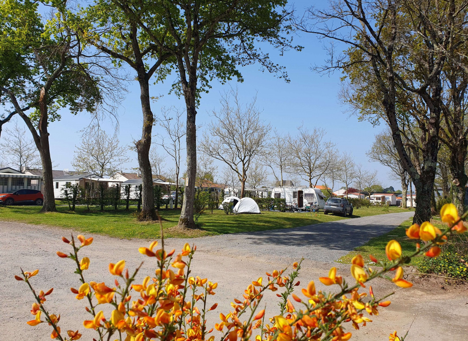 Emplacement et he?bergement au camping du grand fay