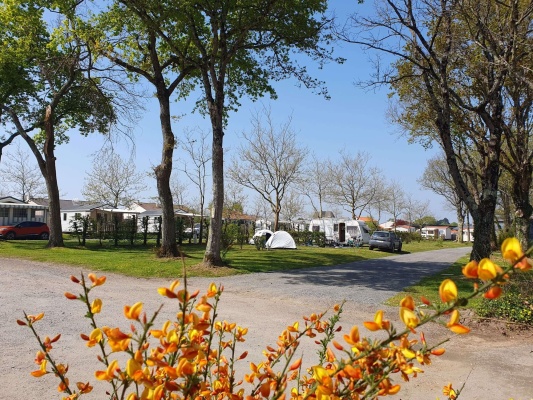 Emplacement et he?bergement au camping du grand fay