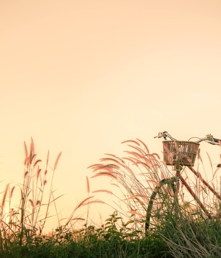 La nature aux pieds du camping