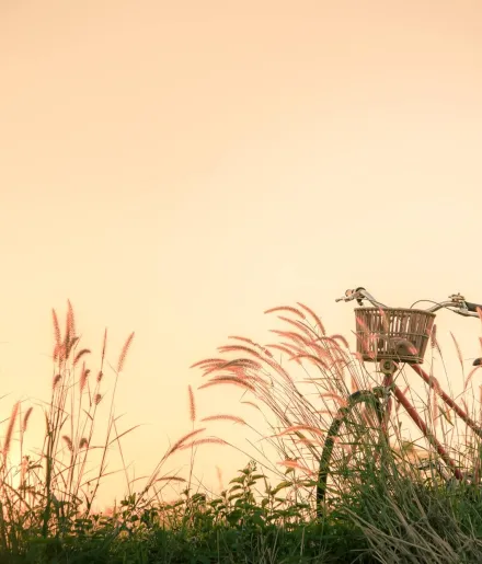 Nature at the foot of the campsite